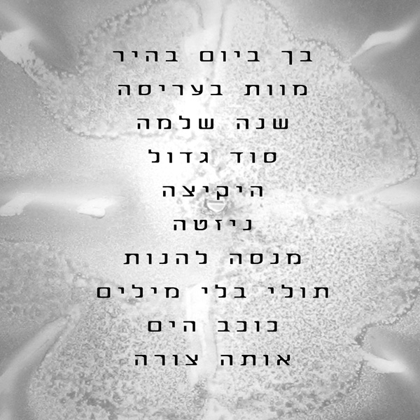 עטיפה אחורית