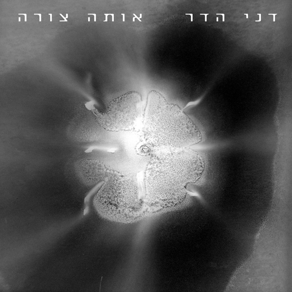 עטיפה קדמית
